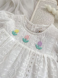 Summer Baby Girls Flowers Embroidery Pattern Hollow Out Short Sleeves Dress - MyKids-USA™