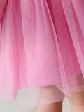 Arrival Autumn Girls Cartoon Rabbit Logo Crew Neck Long Sleeves Pink Tulle Patchwork Princess Dress - MyKids-USA™