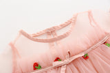 Baby Girl Strawberries Embroidered Mesh Overlay Design Bow Tie Patched Hundred Dress - MyKids-USA™