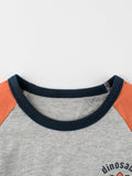 Baby Boys Dinosaur Cartoon Color Patchwork Crew Neck Long Sleeve Pullover