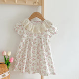 Summer Girls Floral Pattern Ruffle Collar Onesies OR Girls Dress - MyKids-USA™