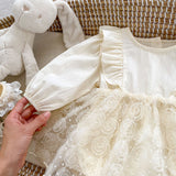 New Arrival Baby Mesh Princess Onesie Dress For Girls