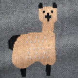Baby Boy Cartoon Llama Embroidered Pattern Button Front Knitted Cardigan
