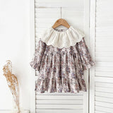 Spring Baby Girls French-style Floral Printed Long-sleeved Onesies and Dress – Princess Sister Matching Set - MyKids-USA™