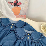 Spring Baby Girls Blue Denim Long-sleeved Onesies or Dress - MyKids-USA™