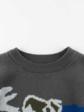 Baby Boy Kids Dinosaur Pattern Crew Neck Long Sleeves Knitwear Pullover