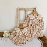 Baby Girl Ditsy Flower Graphic Mesh Patched Design Long Sleeve Sweet Onesies Dress - MyKids-USA™