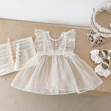 Spring Baby White Embroidery Lace Mesh Princess Onesie Dress For Girls - MyKids-USA™