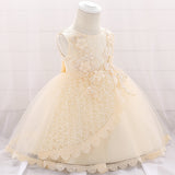 Baby Girl Floral Embroidered Pattern Full Moon Christening Sequins Tutu Dress - MyKids-USA™