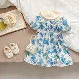 Summer Girls Blue Floral Pattern Square Neck Pleated Onesies And Girls’ Dress – Princess Sister Matching Set - MyKids-USA™