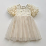 Summer Arrival Butterfly Pattern Short Sleeves Tulle Dress for Stylish Girls