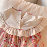 Summer Baby Kids Girls Sleeveless Teddy Pattern Embroidered Plaid Dress