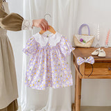 Summer Girls Flowers Pattern Short Sleeves Embroidery Collar Onesies And Dress – Sister Matching Clothing Set