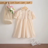 Summer Baby Kids Girls Short Sleeves Lace and Flowers Embroidered Pattern Dress