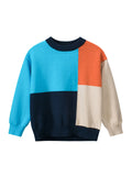 Baby Boy Color Patchwork Crew Neck Long Sleeve Knitwear Pullover