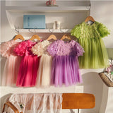 Summer Arrival Butterfly Pattern Short Sleeves Tulle Dress for Stylish Girls