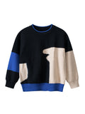 Baby Boy Kids Color Patchwork Crew Neck Long Sleeve Knitwear Pullover