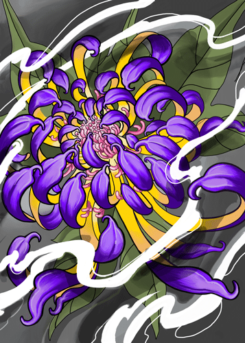 Black Market Art Company Purple Chrysanthemum Print