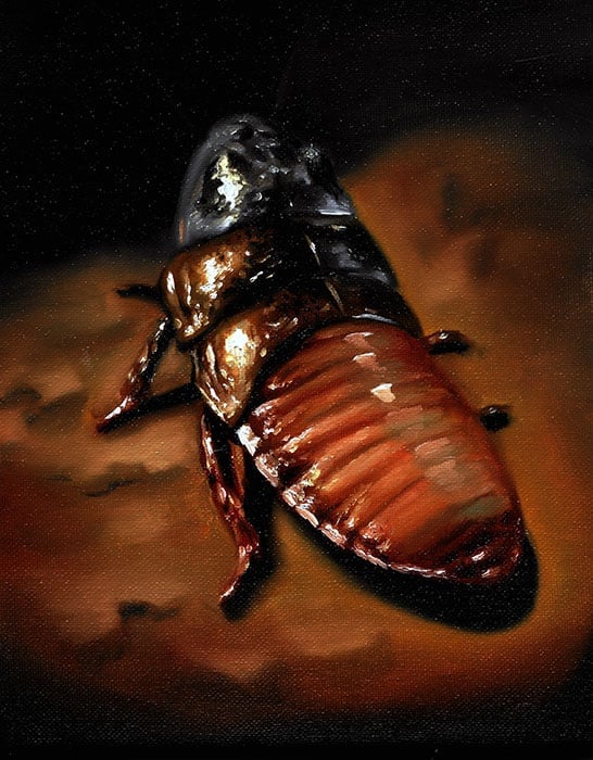 Black Market Art Company Cockroach Print