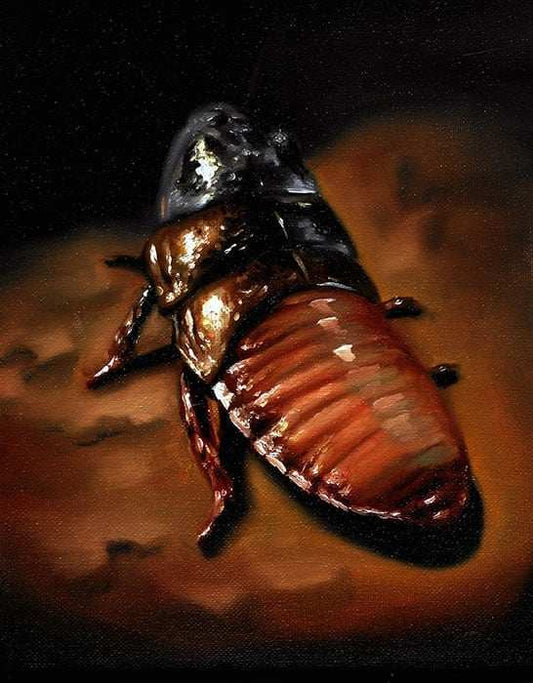 Black Market Art Company Cockroach Print - Black Market Art Company - Flyclothing LLC