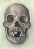 Black Market Art Company Thea Skull Print