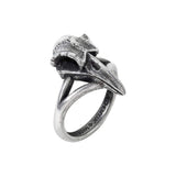 Rabenschadel Kleiner Ring - Alchemy of England - Flyclothing LLC