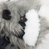Redwood Raccoon X-Brace® Plush Dog Toy - HuggleHounds - Flyclothing LLC