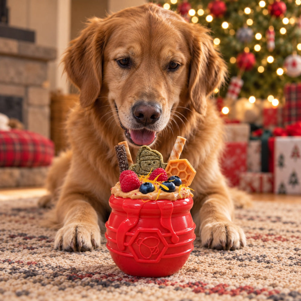 Honey Pot Dog eCup Treat Dispenser | Durable PUP-X Rubber Enrichment Toy | USA Made - SodaPup/True Dogs, LLC - Flyclothing LLC