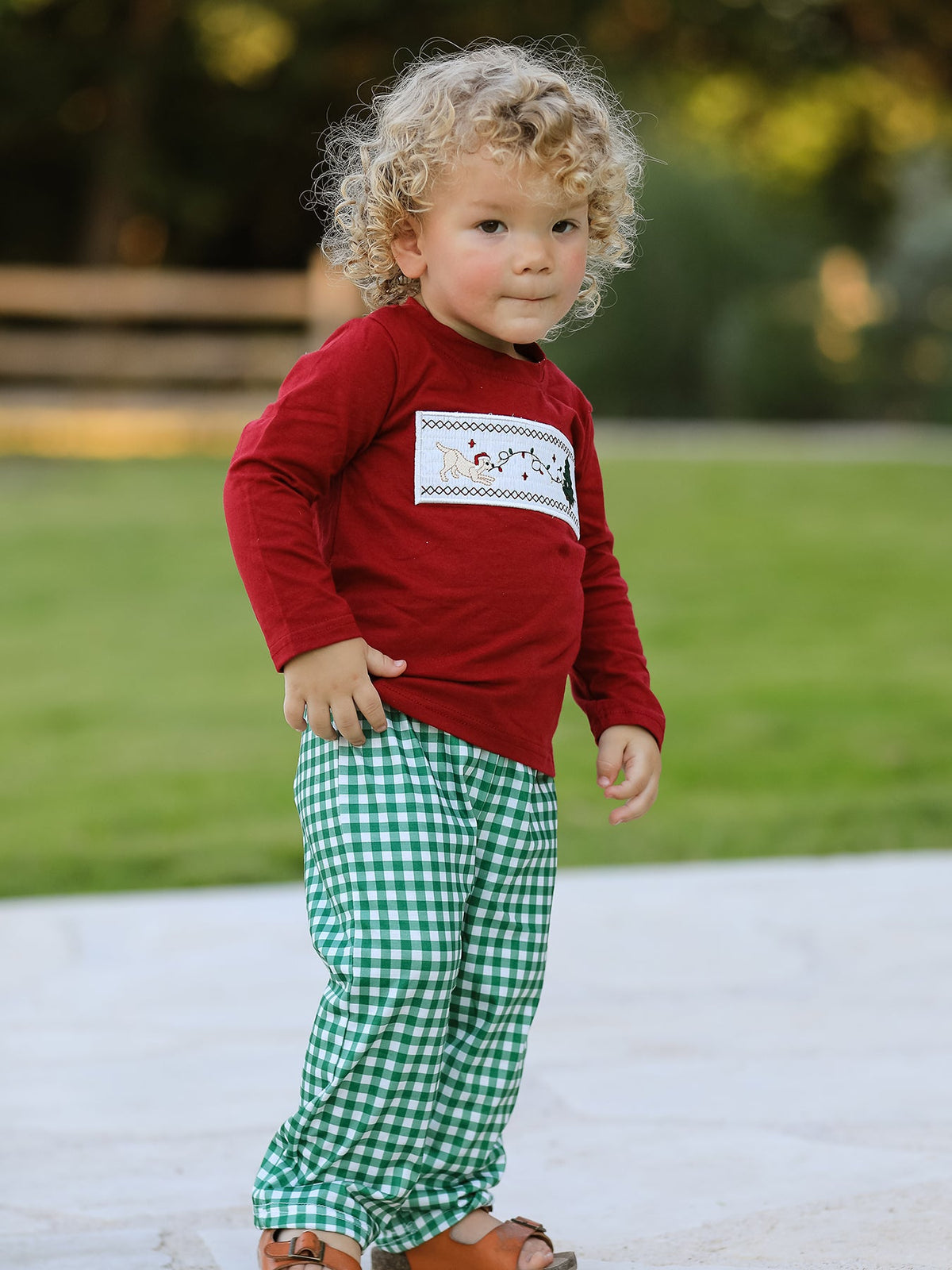 Christmas Tree Dog Smocking Embroidered Plaid Boys Set - Rylee Faith Designs - Flyclothing LLC