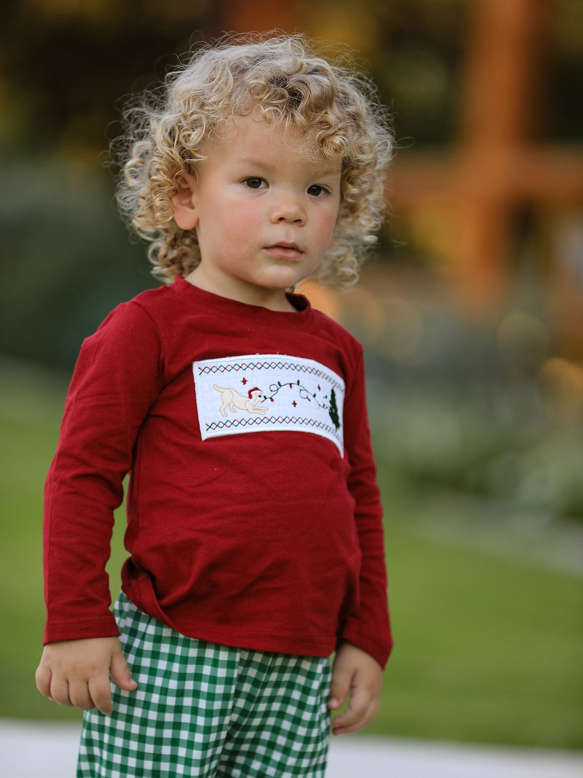 Christmas Tree Dog Smocking Embroidered Plaid Boys Set - Rylee Faith Designs - Flyclothing LLC