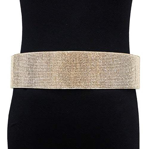Rhinestone Pave Embellished Metal Waist Belt - Madeline Love - Flyclothing LLC