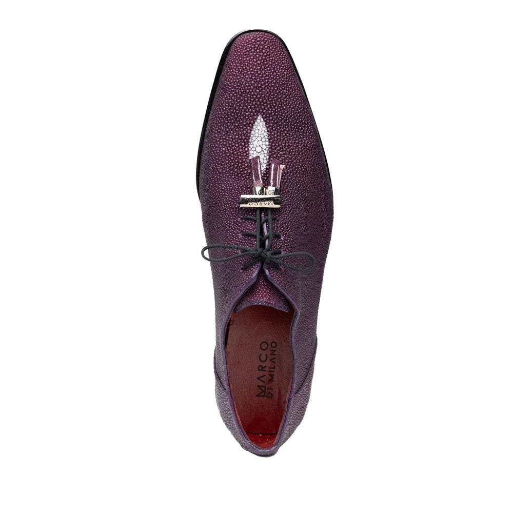 Rimini Purple - Marco Di Milano - Flyclothing LLC