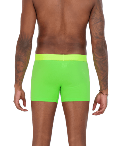 Wood Underwear jasmine boxer brief w/fly