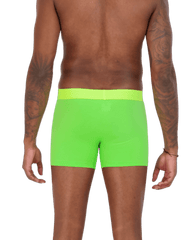 Wood Underwear jasmine boxer brief w/fly