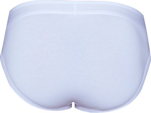 Wood Underwear white hip brief