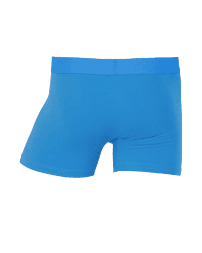 Wood Underwear swedish blue boxer brief w/fly - Wood Underwear - Flyclothing LLC