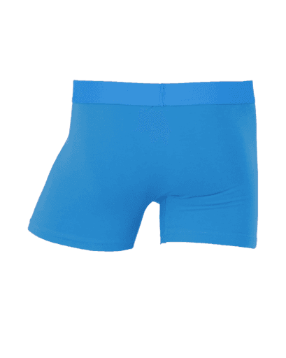 Wood Underwear swedish blue boxer brief w/fly - Wood Underwear - Flyclothing LLC