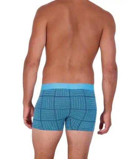 Wood Underwear blue hound weave boxer brief w/fly - Wood Underwear - Flyclothing LLC