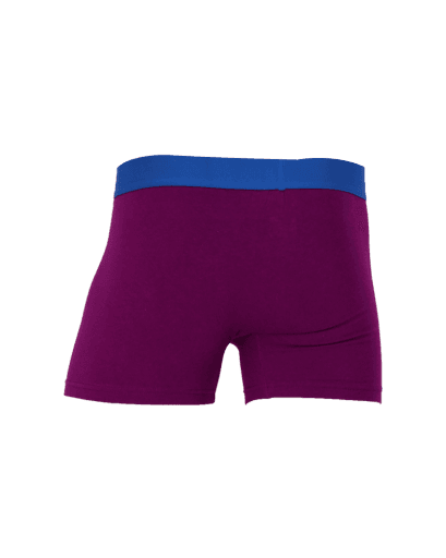Wood Underwear dark purple boxer brief w/fly - Wood Underwear - Flyclothing LLC