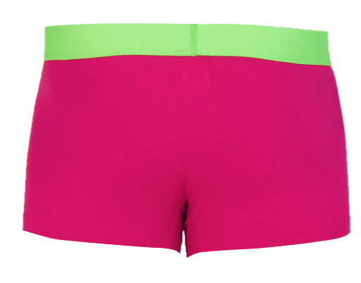 Wood Underwear watermelon trunk