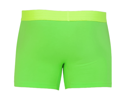 Wood Underwear jasmine boxer brief w/fly
