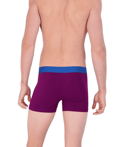 Wood Underwear dark purple boxer brief w/fly - Wood Underwear - Flyclothing LLC