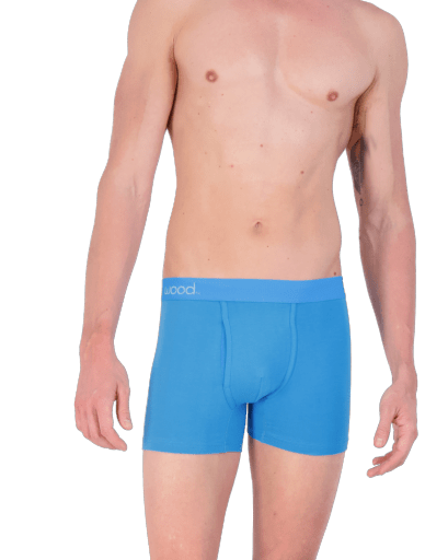 Wood Underwear swedish blue boxer brief w/fly