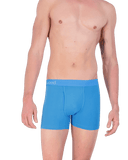 Wood Underwear swedish blue boxer brief w/fly
