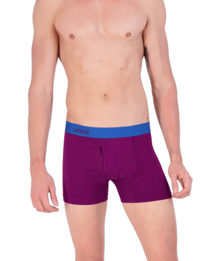 Wood Underwear dark purple boxer brief w/fly