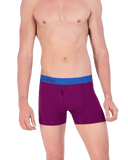 Wood Underwear dark purple boxer brief w/fly