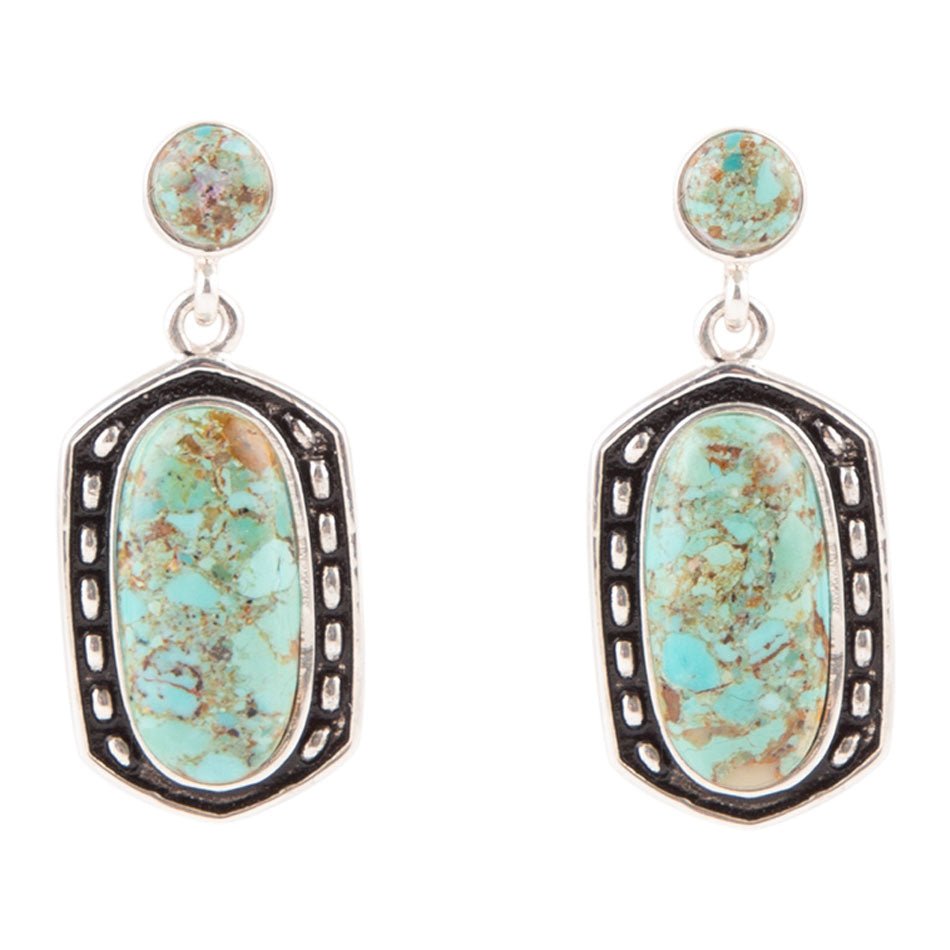 Shielded Blue Turquoise and Sterling Silver Earrings - Barse Jewelry