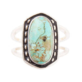 Shielded Blue Turquoise and Sterling Silver Ring - Barse Jewelry - Flyclothing LLC