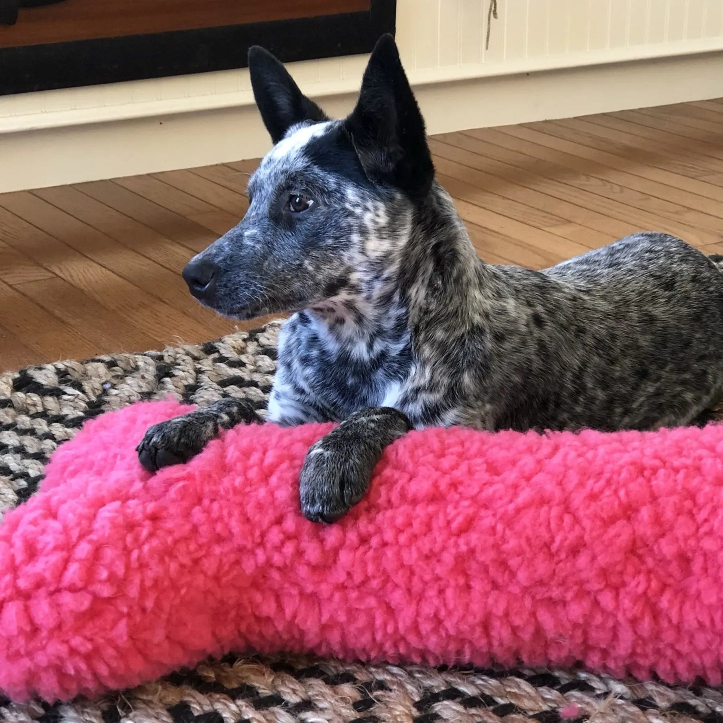 HuggleCause™, Living Beyond Breast Cancer, HuggleFleece® Pink Bones - HuggleHounds - Flyclothing LLC