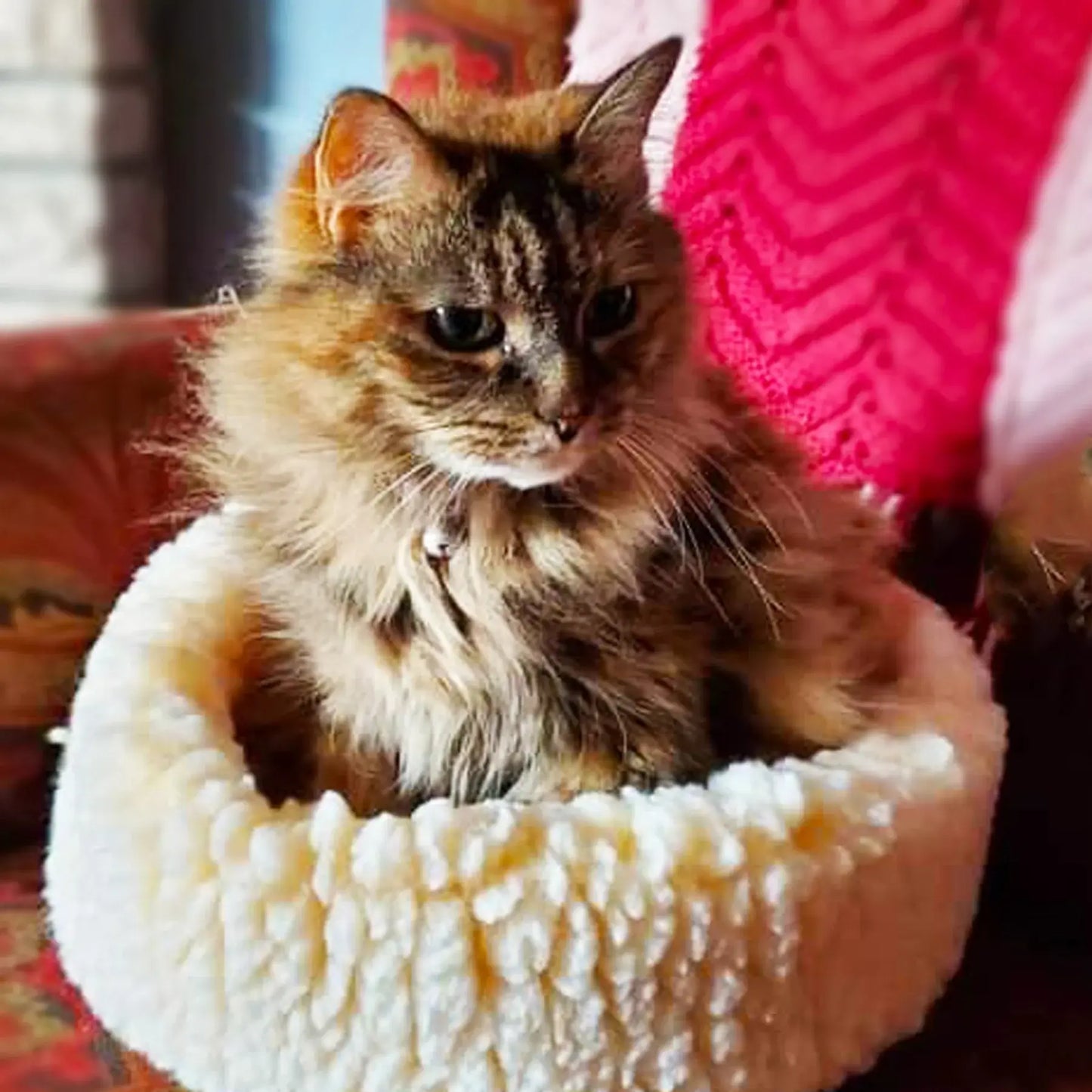 HuggleFleece® HuggleSnuggler™ Cat & Dog Beds - HuggleHounds - Flyclothing LLC